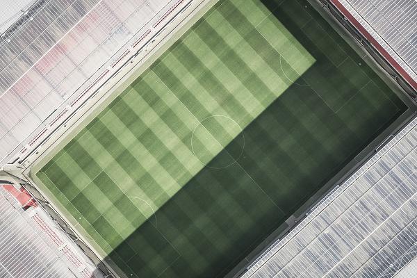 Get to Know the Vereine â€“ Associations in Germany